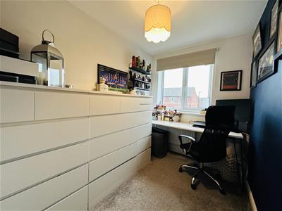 Picture 13